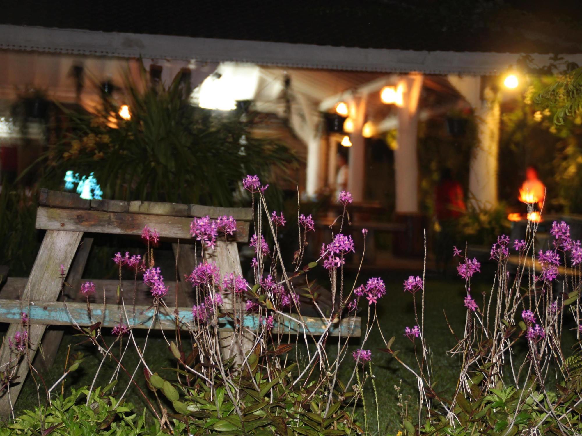 Warung Rekreasi Bedugul Hotel Exterior photo