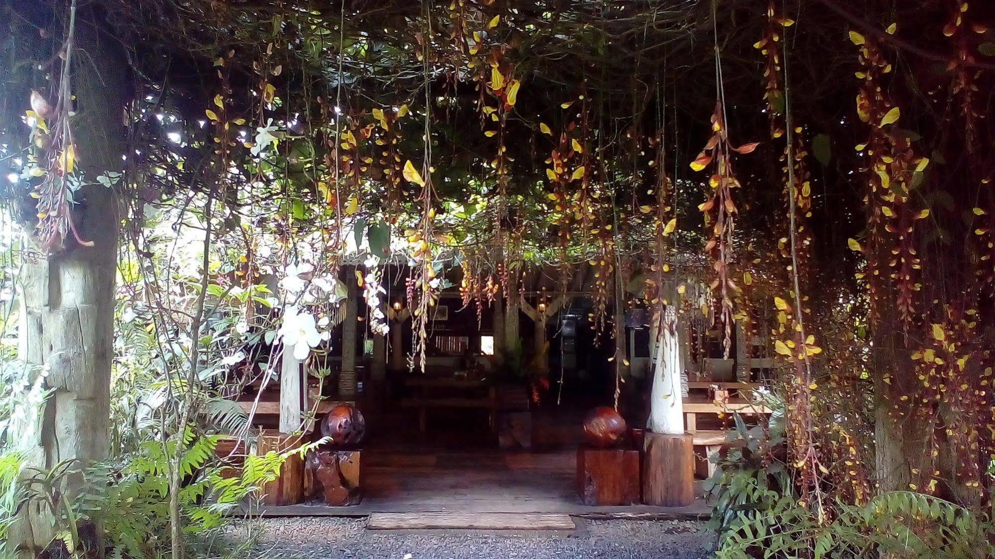 Warung Rekreasi Bedugul Hotel Exterior photo