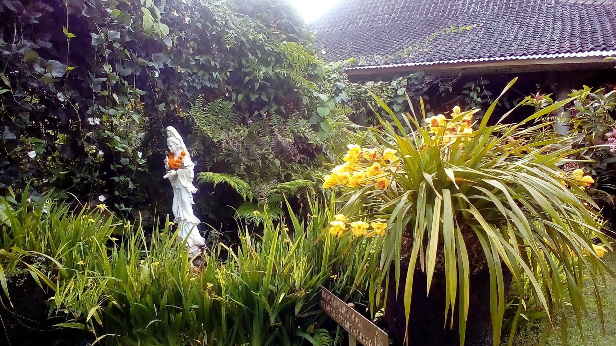 Warung Rekreasi Bedugul Hotel Exterior photo